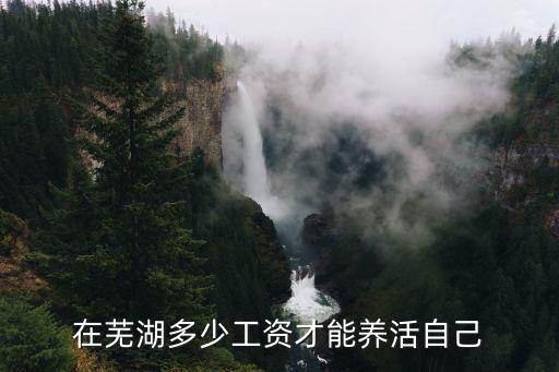 在蕪湖多少工資才能養(yǎng)活自己