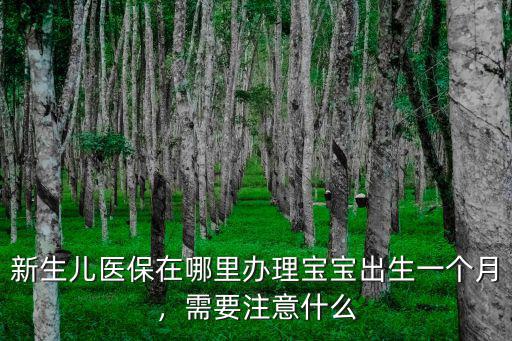 樂山市新生兒醫保在哪里辦理,新生兒醫保在哪里辦理