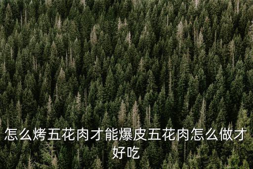 宜賓哪里有烤五花肉,宜賓美食有哪些