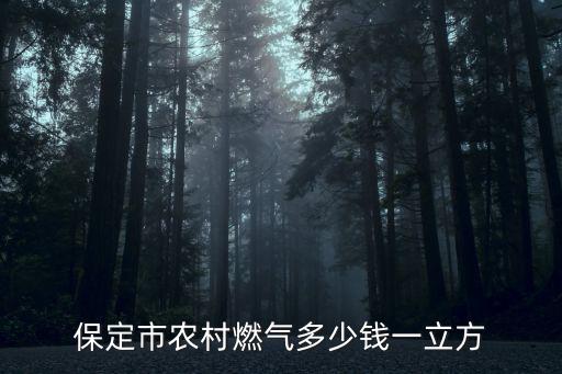 保定市農(nóng)村燃?xì)舛嗌馘X(qián)一立方