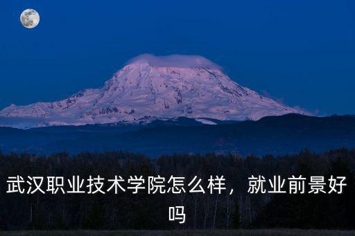武漢職業(yè)技術學院怎么樣拍照表情,武漢職業(yè)技術學院怎么樣