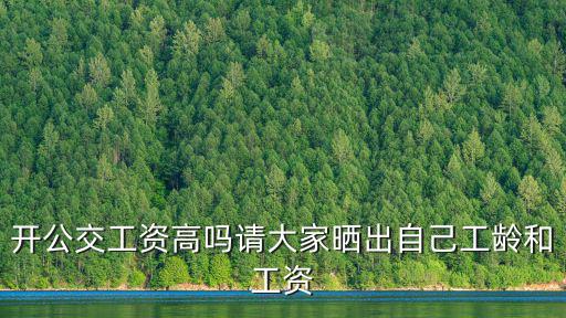 開公交工資高嗎請大家曬出自己工齡和工資