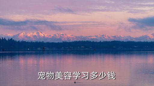 寵物美容學習多少錢