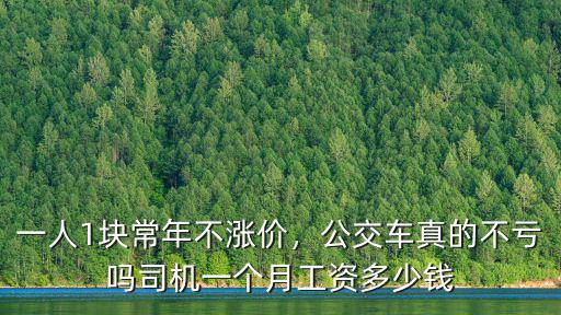 邯鄲公交司機(jī)多少錢一個(gè)月多少錢,司機(jī)一個(gè)月工資多少錢