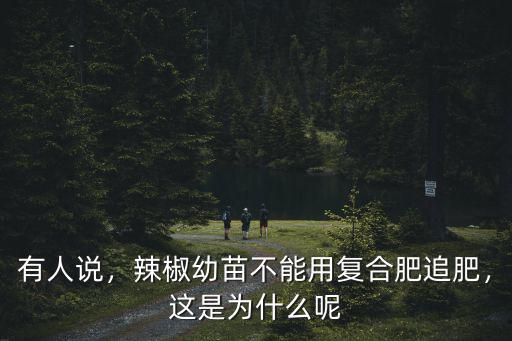 辣椒追肥復合肥用多少,辣椒幼苗不能用復合肥追肥