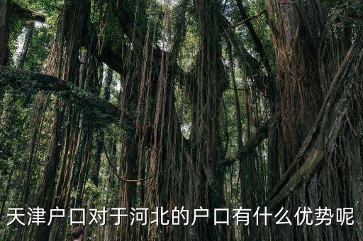 天津戶口對于河北的戶口有什么優勢呢