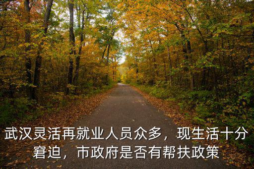 武漢市有四大幫扶政策怎么執(zhí)行,政府是否有幫扶政策