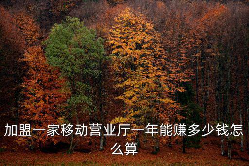 加盟一家移動(dòng)營(yíng)業(yè)廳一年能賺多少錢怎么算