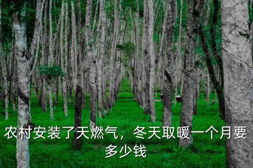 農(nóng)村安裝了天燃氣，冬天取暖一個月要多少錢