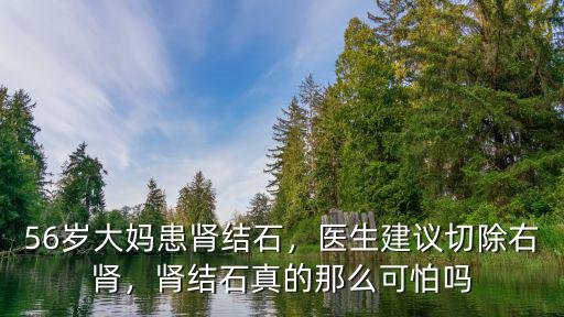 56歲大媽患腎結(jié)石，醫(yī)生建議切除右腎，腎結(jié)石真的那么可怕嗎