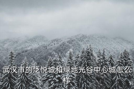 武漢光谷正榮府怎么樣,武漢光谷中心城
