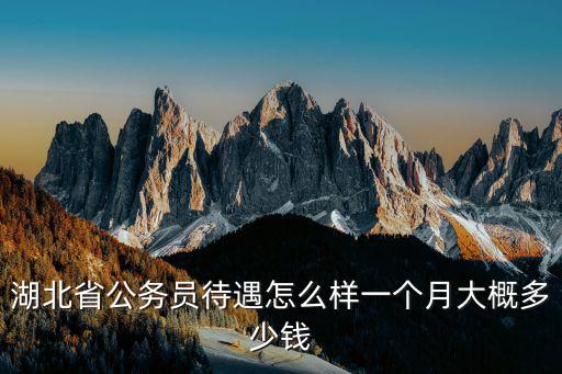 湖北華光待遇怎么樣,湖北的選調生待遇怎么樣