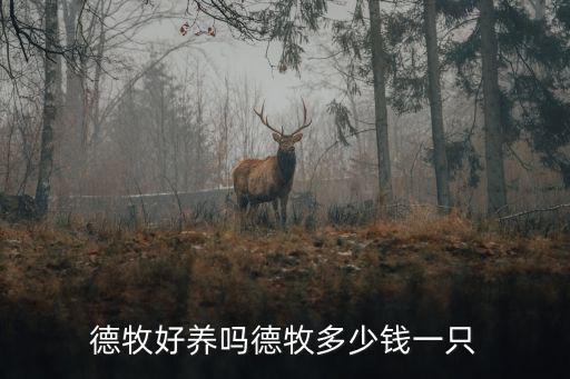 安徽宿州市一個德牧小狗多少錢,德牧多少錢一只