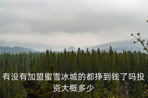 有沒有加盟蜜雪冰城的都掙到錢了嗎投資大概多少