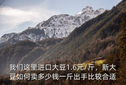 我們這里進(jìn)口大豆1.6元/斤，新大豆如何賣多少錢一斤出手比較合適