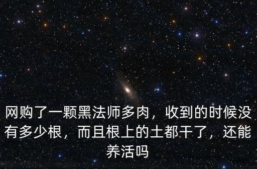 大顆的湖北藍沒有根系怎么辦,棒葉虎尾蘭沒有根系該怎么辦