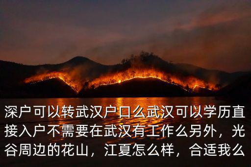 畢業大學生怎么轉武漢戶口,深戶可以轉武漢戶口么