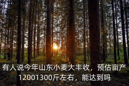 今年安徽麥子畝產(chǎn)多少斤,能達(dá)到一畝多少斤