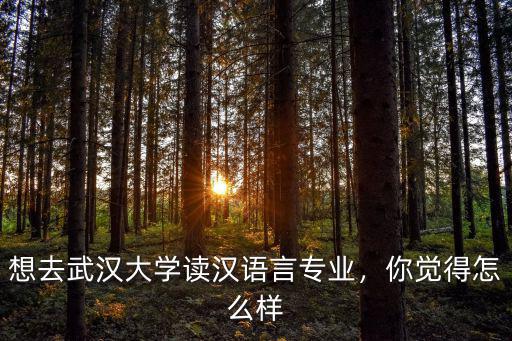 武漢大學的外國語言文學類怎么樣,武漢大學的中國語言文學專業
