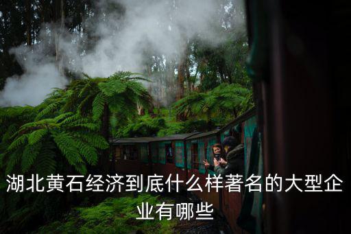 湖北黃石經濟到底什么樣著名的大型企業有哪些