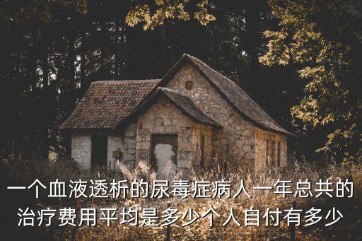 一個(gè)血液透析的尿毒癥病人一年總共的治療費(fèi)用平均是多少個(gè)人自付有多少