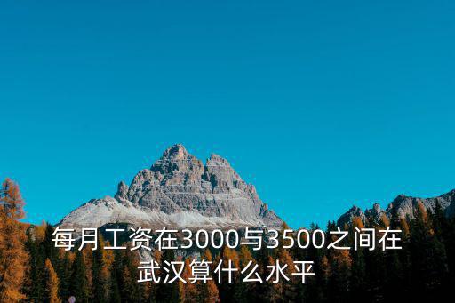 每月工資在3000與3500之間在武漢算什么水平