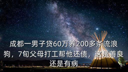成都哪里流浪狗多,成都的流浪狗可以在哪里領養