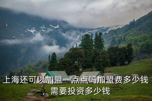 上海還可以加盟一點點嗎加盟費多少錢，需要投資多少錢