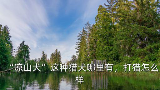 哪里有涼山獵犬出售,涼山犬這種獵犬哪里有