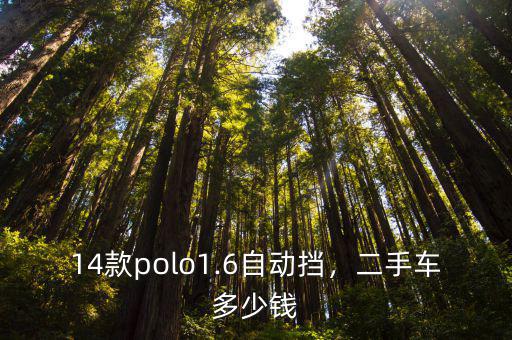 六安大眾polo自動擋二手車多少錢,二手車多少錢