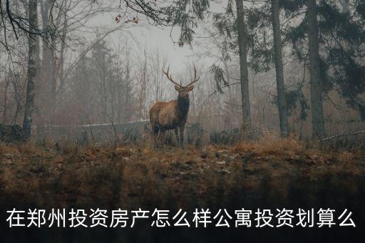 在鄭州投資房產怎么樣公寓投資劃算么