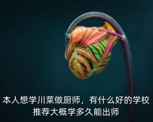 本人想學川菜做廚師，有什么好的學校推薦大概學多久能出師