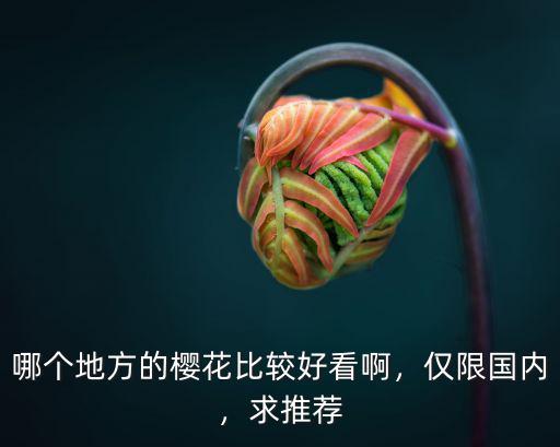 巴中哪里好看的櫻花,昆明周邊哪里櫻花最好看