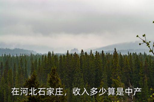 在河北石家莊，收入多少算是中產