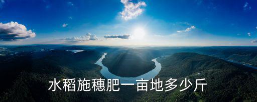 水稻施穗肥一畝地多少斤