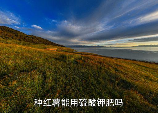 種紅薯能用硫酸鉀肥嗎