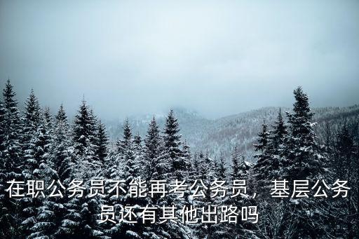 淮南市有多少在職公務(wù)員,在職公務(wù)員不能再考公務(wù)員
