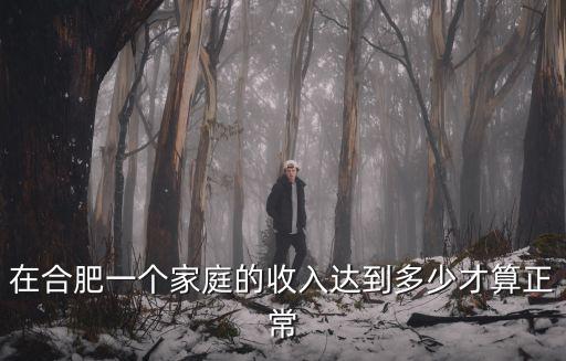 在合肥一個家庭的收入達到多少才算正常