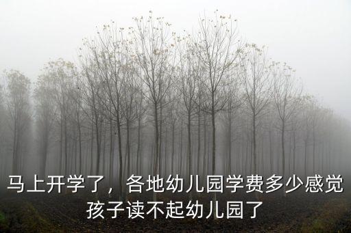 馬上開學了，各地幼兒園學費多少感覺孩子讀不起幼兒園了