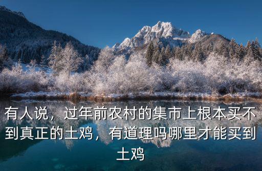 有人說，過年前農(nóng)村的集市上根本買不到真正的土雞，有道理嗎哪里才能買到土雞