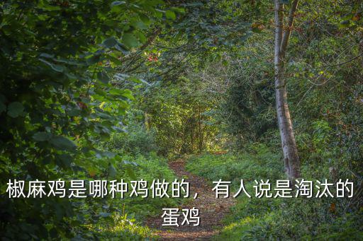 椒麻雞是哪種雞做的，有人說是淘汰的蛋雞