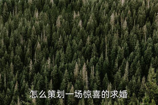 邢臺市一場求婚策劃大概多少錢,怎么策劃一場驚喜的求婚