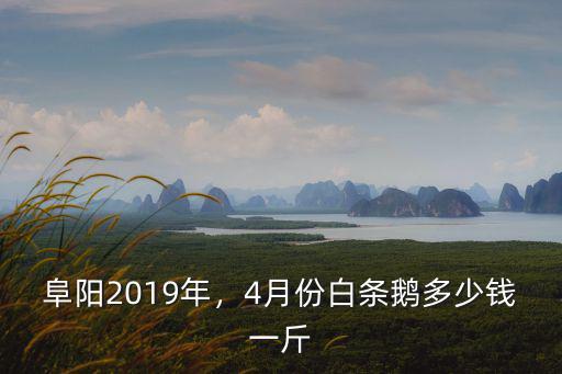 阜陽2019年，4月份白條鵝多少錢一斤
