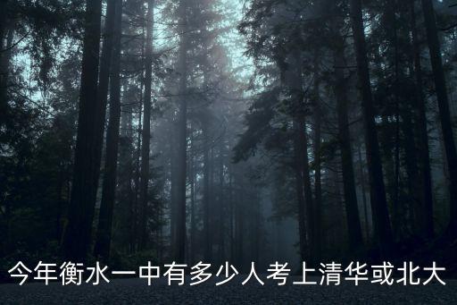 今年衡水一中有多少人考上清華或北大