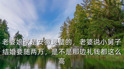 老婆娘家是安徽靈璧的，老婆說小舅子結婚要隨兩萬，是不是那邊禮錢都這么高