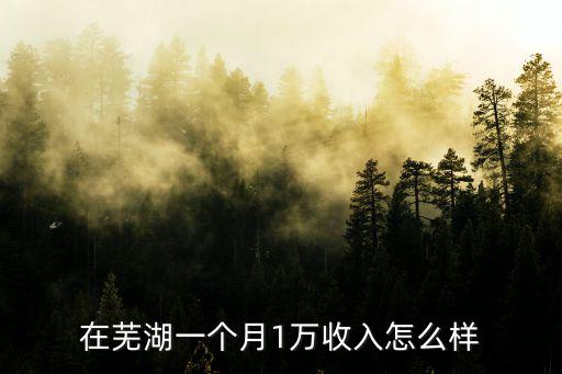 在蕪湖一個月1萬收入怎么樣