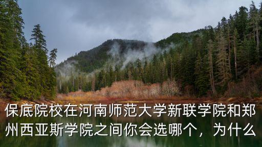 保底院校在河南師范大學(xué)新聯(lián)學(xué)院和鄭州西亞斯學(xué)院之間你會(huì)選哪個(gè)，為什么