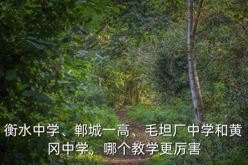 衡水中學、鄲城一高、毛坦廠中學和黃岡中學，哪個教學更厲害