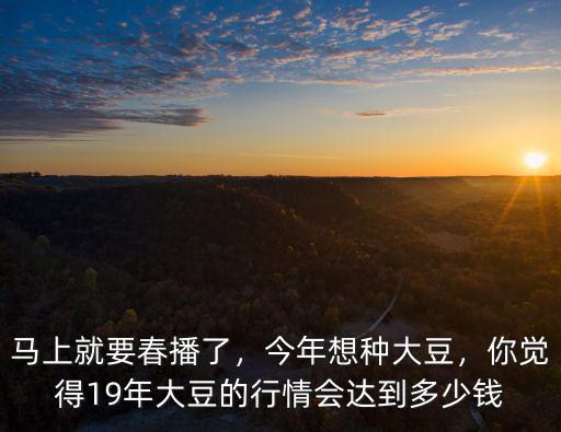 周口大豆收多少錢一斤,多少錢一斤出手比較合適