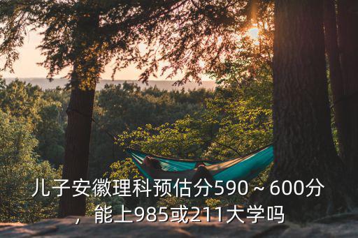 兒子安徽理科預估分590～600分，能上985或211大學嗎